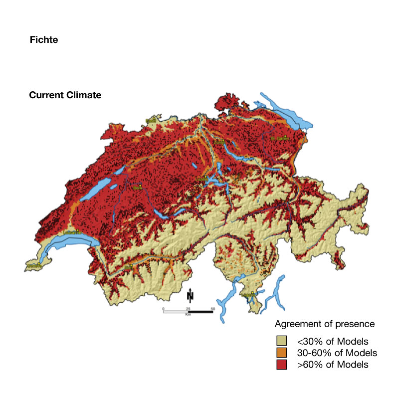 carte de la suisse représentant une projection de l'épicéa actuellement