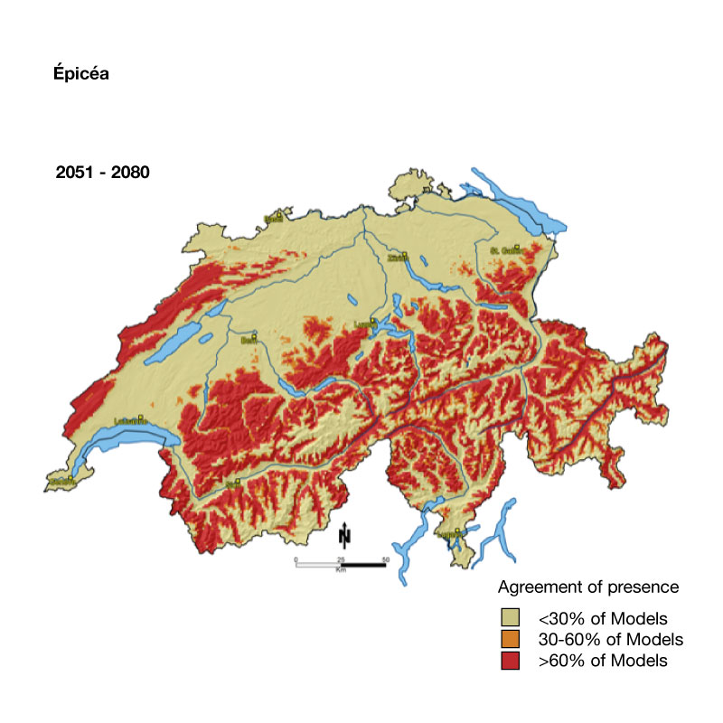 carte de la suisse représentant une projection de l'épicéa entre 2051 et 2080