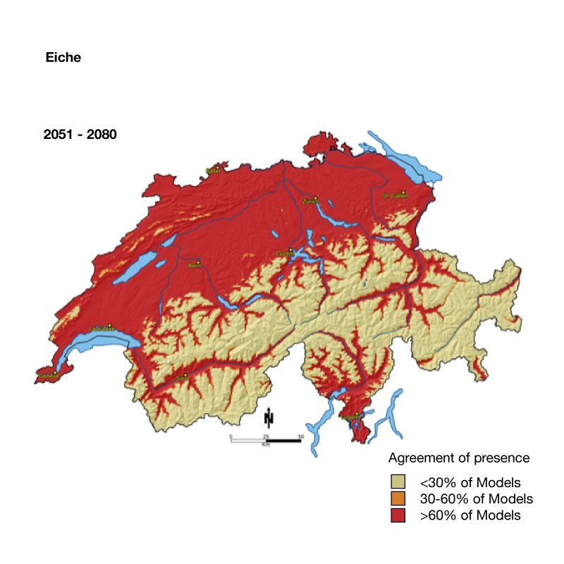 carte de la suisse représentant une projection du chêne entre 2051 et 2080